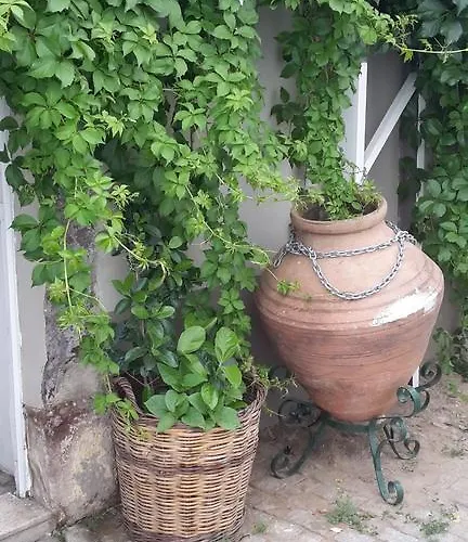 Pera Ayvalik Guest House ホテル